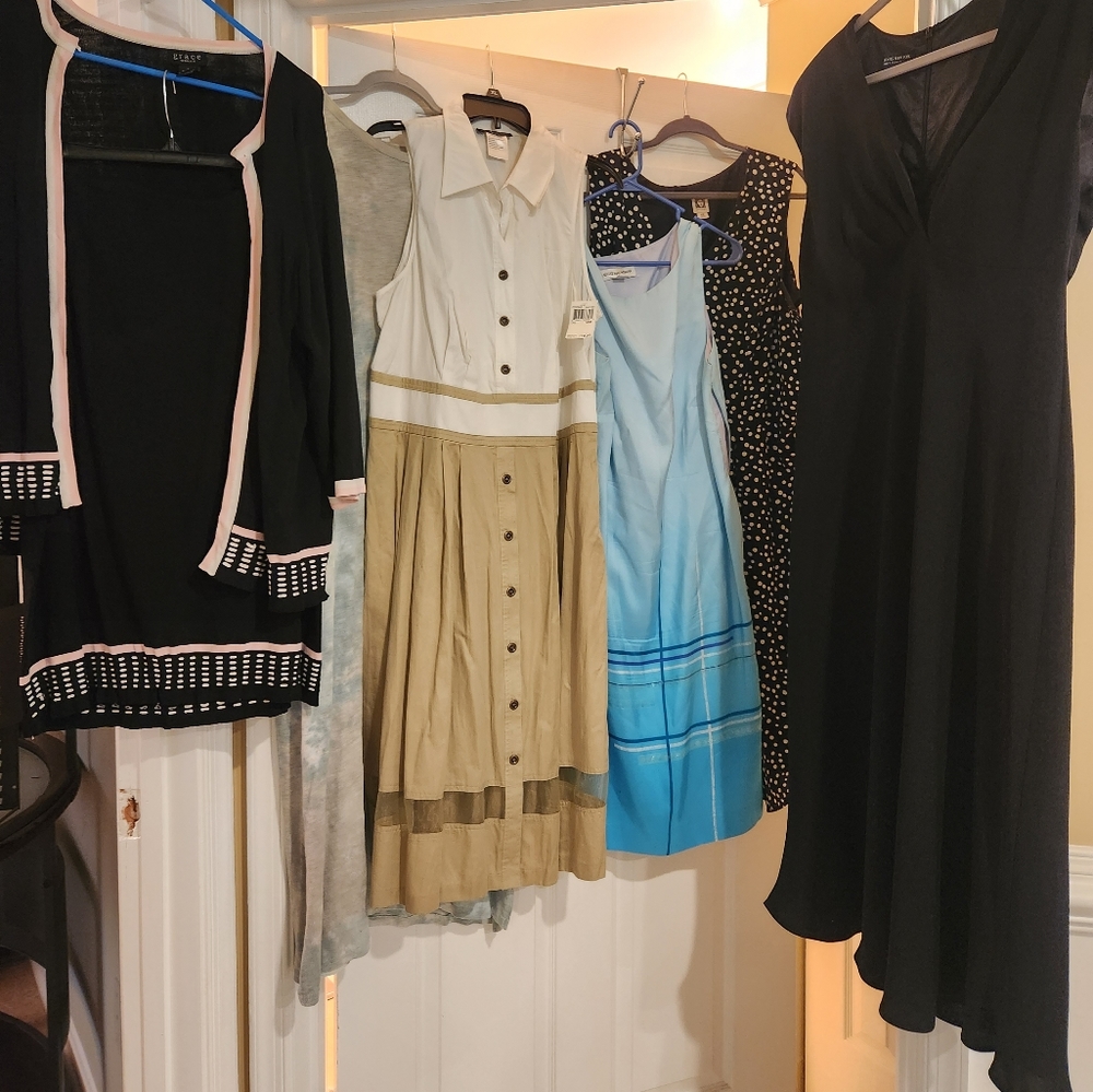 Lot of size 16W Women's Dresses
